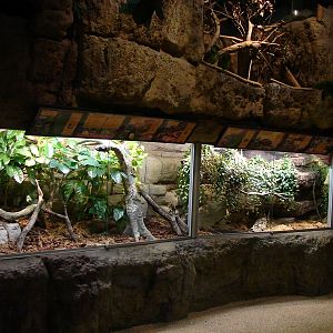 Reptile Exhibit