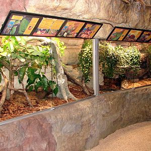 Reptile Exhibit