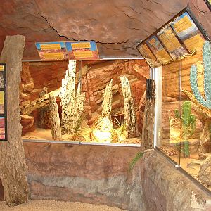 Reptile Exhibit