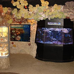 Coral Reef Exhibit