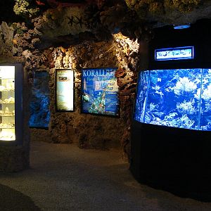 Coral Reef Exhibit