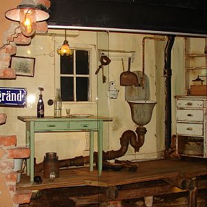 Norway rat (Rattus norvegicus) Exhibit