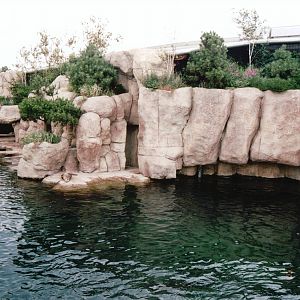 Blijdorp 2002 - Part of the California Sea Lion exhibit