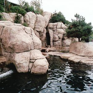 Blijdorp 2002 - Part of the California Sea Lion exhibit