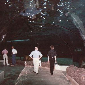 Blijdorp 2002 - Walk-through tunnel in the Oceanium