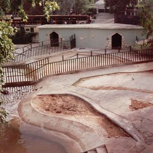 Lisbon Zoo 1997 - Common Hippopotamus exhibits seen from the skyrail