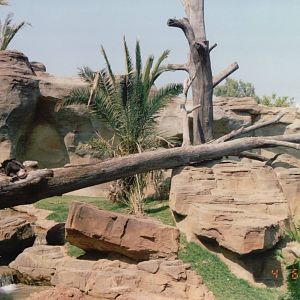 Fuengirola Zoo 2001 - Part of the Chimpanzee exhibit