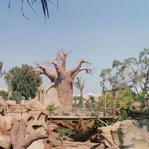 Fuengirola Zoo 2001 - General view on the grounds