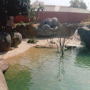 Fuengirola Zoo 2001 - Nile Crocodile exhibit