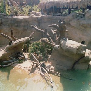 Fuengirola Zoo 2001 - Mixed Mandrill and Pigmy Hippopotamus exhibit