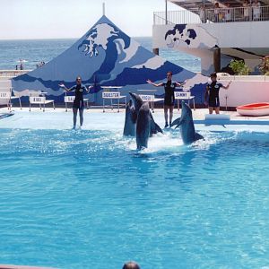 Marineland Mallorca 1993 - Dolphin Show