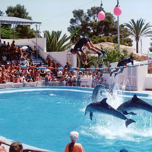 Marineland Mallorca 1993 - Dolphin Show