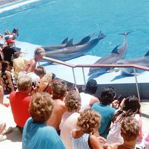 Marineland Mallorca 1993 - Dolphin Show