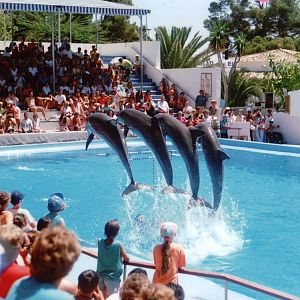 Marineland Mallorca 1993 - Dolphin Show