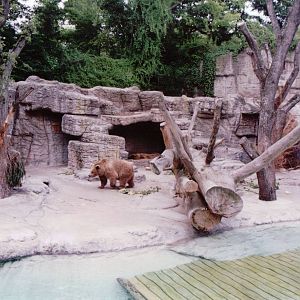 Basel Zoo 1999 - Brown Bear exhibit