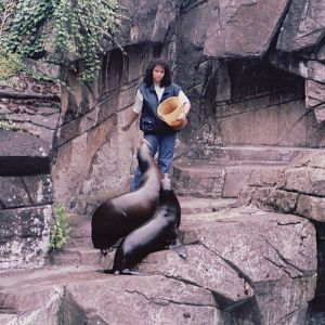 Basel Zoo 1999 - California Sea Lion feeding