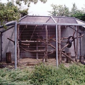 Basel Zoo 1999 - Typical outdoor cage at the Ape House