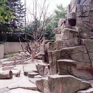 Basel Zoo 1999 - Crab-eating Macaque exhibit