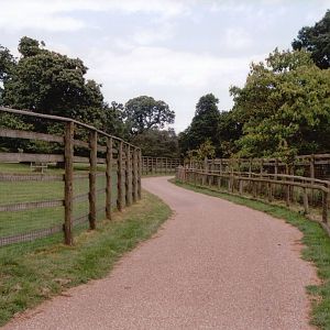 Howletts 2001 - Passage between exhibits