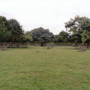 Howletts 2001 - One of the massive ungulate paddocks