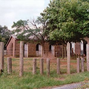 London Zoo 2001 - Okapi exhibit