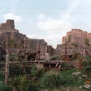London Zoo 2001 - The historic Mappin Terraces