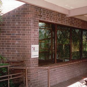 London Zoo 2001 - Exhibit in the Sobell Pavilions for Apes and Monkeys