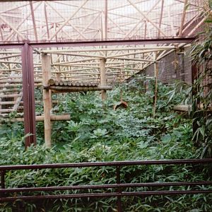 London Zoo 2001 - Part of the former Panda exhibit in the Sobell Pavilion