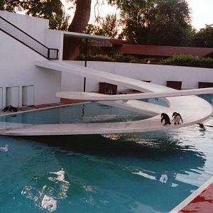 London Zoo 2001 - The Lubetkin penguin exhibit