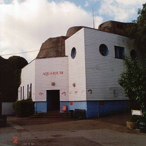 London Zoo 2001 - The Aquarium at the Mappin Terraces