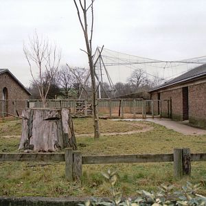 London Zoo 2002 - Part of the Burton Giraffe House and the Tapir House