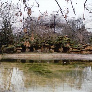 London Zoo 2002 - Former Sea Lion Pond and then Pigmy Hippo exhibit