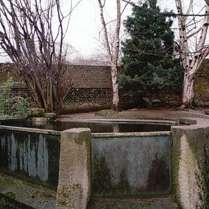 London Zoo 2002 - Asiatic Small-clawed Otter exhibit