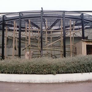 London Zoo 2002 - Front of the Tecton Gorilla House