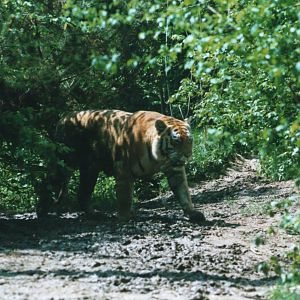 Parco Faunistico La Torbiera, Agrate Conturbia, 2000