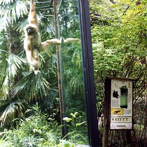 Parco faunistico La Torbiera, Agrate Conturbia, 2000