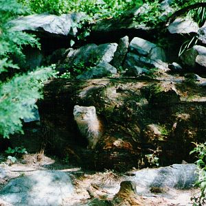 Parco faunistico La Torbiera, Agrate Conturbia, 2000