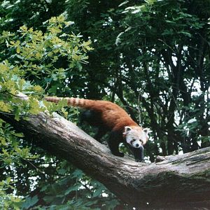 Parco faunistico La Torbiera, Agrate Conturbia, 2000