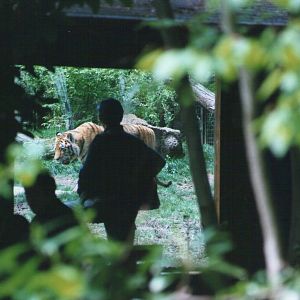 Parco Faunistico La Torbiera, Agrate Conturbia, 2000