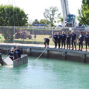 Rescue and Rehabilitation of Florida Manatees
