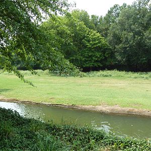 Multi-Acre Texas Longhorn/White-Tailed Deer/Bison/Sandhill Crane Exhibit