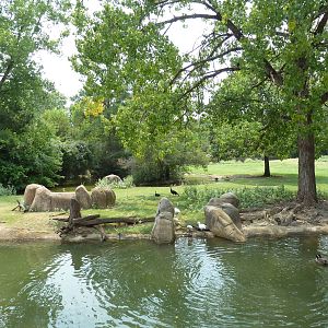 Multi-Acre Texas Longhorn/White-Tailed Deer/Bison/Sandhill Crane Exhibit