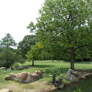 Multi-Acre Texas Longhorn/White-Tailed Deer/Bison/Sandhill Crane Exhibit
