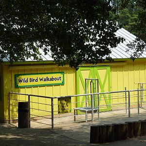 Wild Bird Walkabout