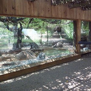 White Tiger Exhibit