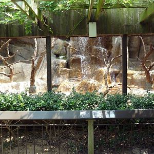 Turkey Vulture/Great Horned Owl/Barred Owl Exhibit