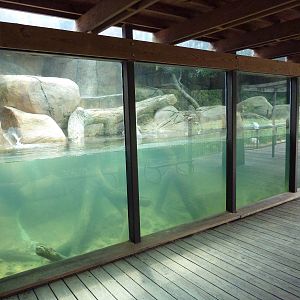 River Otter Exhibit