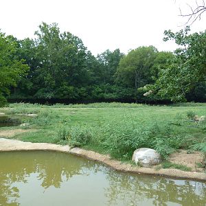 Multi-Acre Texas Longhorn/White-Tailed Deer/Bison/Sandhill Crane Exhibit