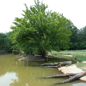 Multi-Acre Texas Longhorn/White-Tailed Deer/Bison/Sandhill Crane Exhibit