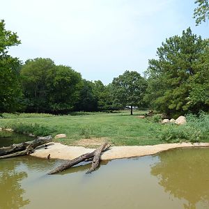 Multi-Acre Texas Longhorn/White-Tailed Deer/Bison/Sandhill Crane Exhibit